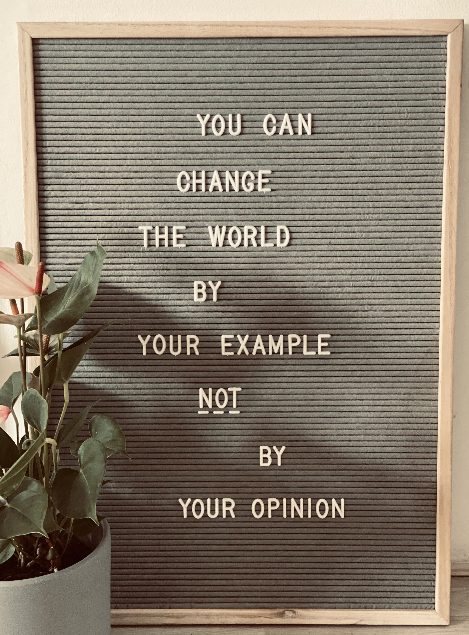 You can change the world by…